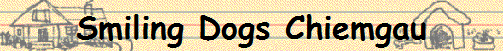 Smiling Dogs Chiemgau